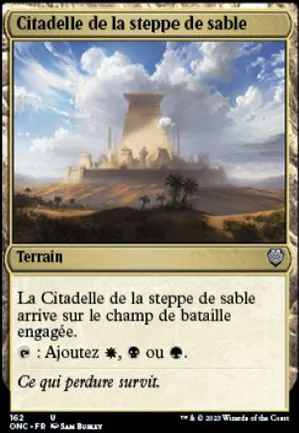 Citadelle de la steppe de sable