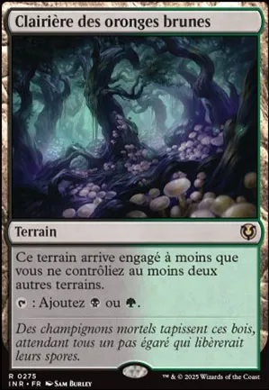 Clairière des oronges brunes