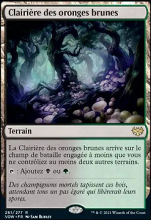 Clairière des oronges brunes