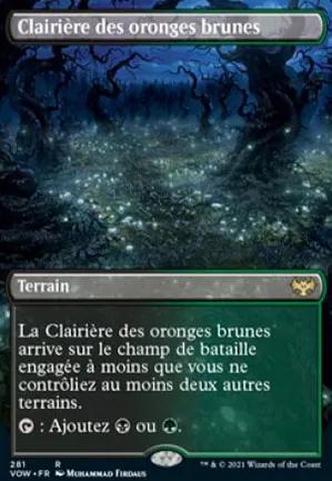 Clairière des oronges brunes