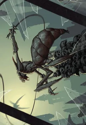 Claque-fouet kraul - Illustration