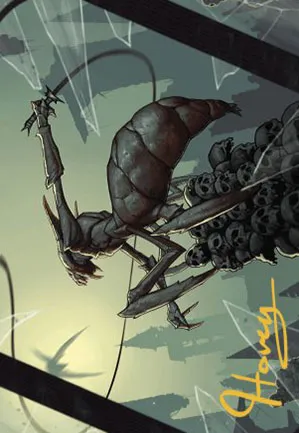 Claque-fouet kraul - Illustration