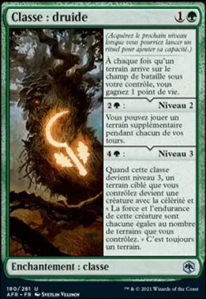 Classe : druide