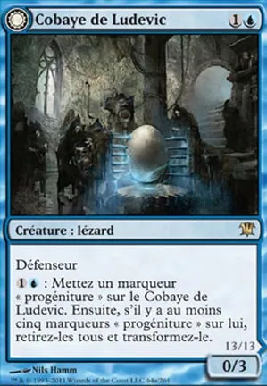 Cobaye de Ludevic