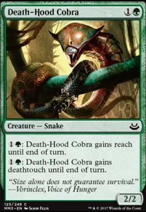 Cobra à camail de mort
