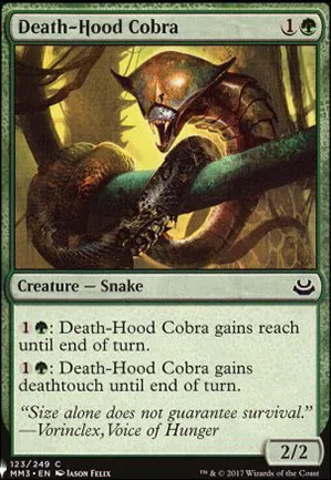 Cobra à camail de mort