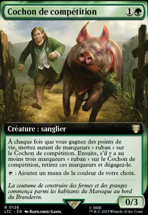 Cochon de compétition