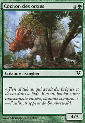 Cochon des orties