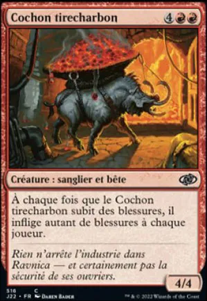 Cochon tirecharbon