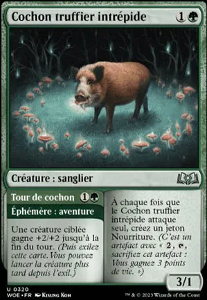 Cochon truffier intrépide // Tour de cochon