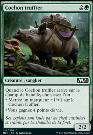Cochon truffier