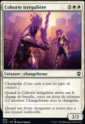 Cohorte irrégulière