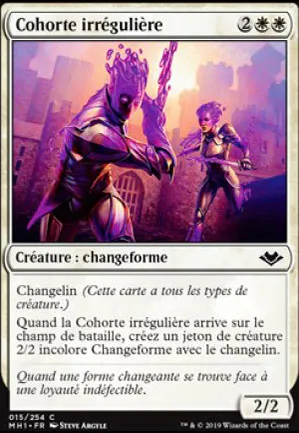 Cohorte irrégulière
