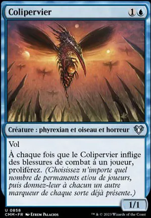 Colipervier