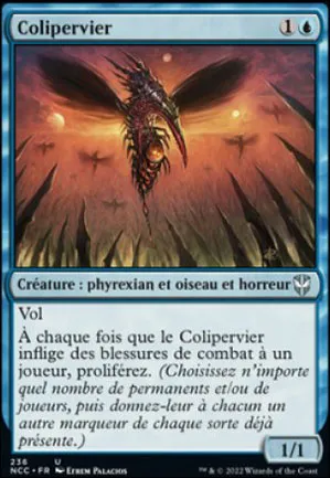 Colipervier