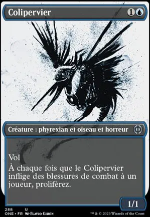 Colipervier