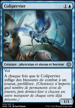 Colipervier