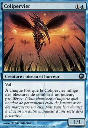 Colipervier