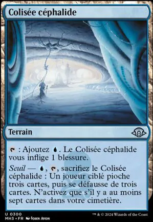 Colisée céphalide