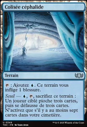 Colisée céphalide