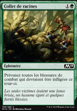 Collet de racines