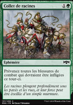 Collet de racines