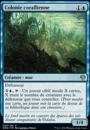 Colonie corallienne