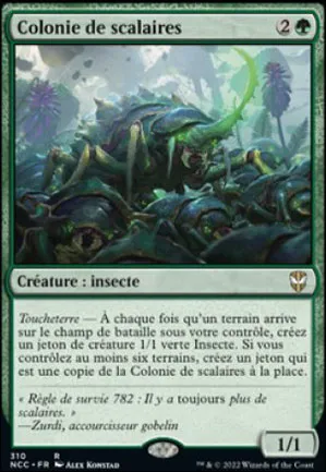 Colonie de scalaires