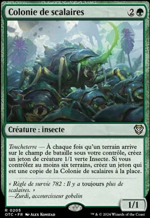 Colonie de scalaires