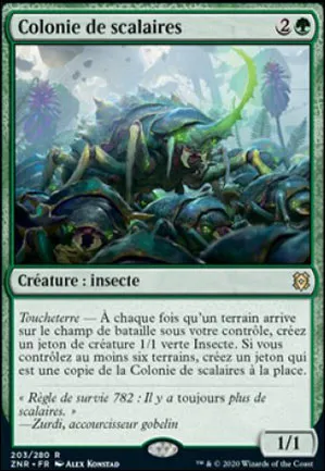 Colonie de scalaires