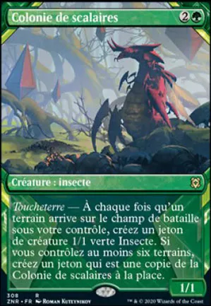 Colonie de scalaires