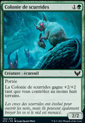 Colonie de scurrides