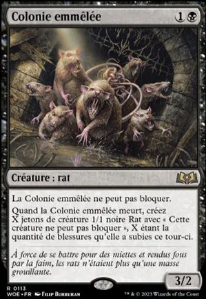 Colonie emmêlée
