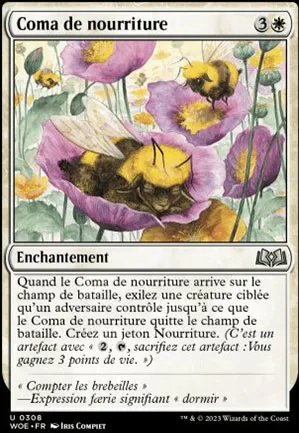Coma de nourriture