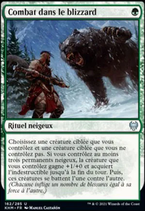 Combat dans le blizzard