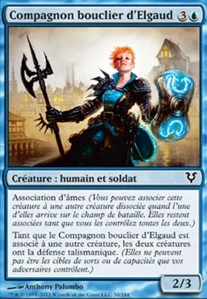 Compagnon bouclier d'Elgaud