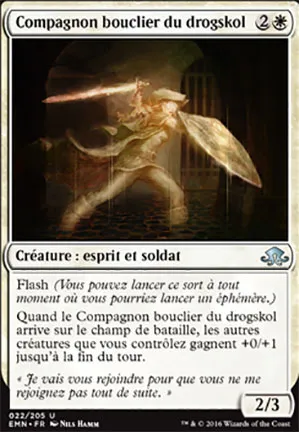 Compagnon bouclier du drogskol