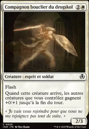 Compagnon bouclier du drogskol