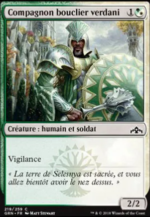 Compagnon bouclier verdani