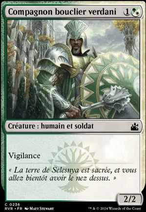 Compagnon bouclier verdani