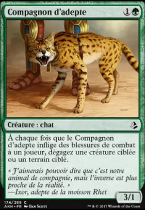 Compagnon d'adepte