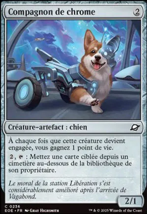 Compagnon de chrome