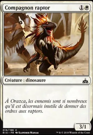 Compagnon raptor
