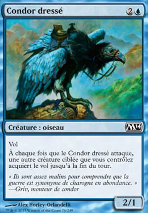 Condor dressé