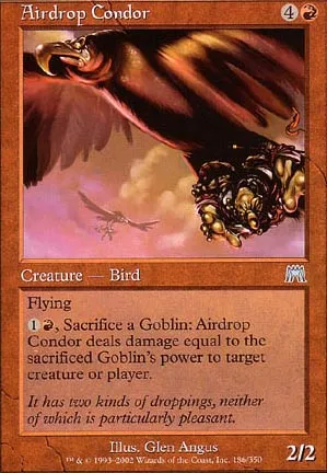 Condor tombeciel