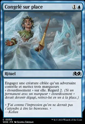 Congelé sur place