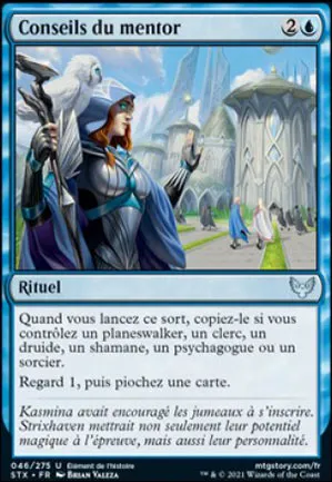 Conseils du mentor