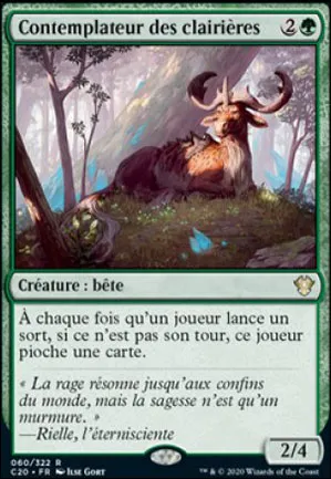 Contemplateur des clairières