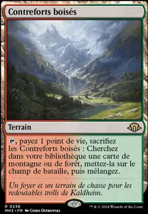Contreforts boisés
