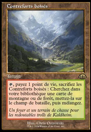 Contreforts boisés